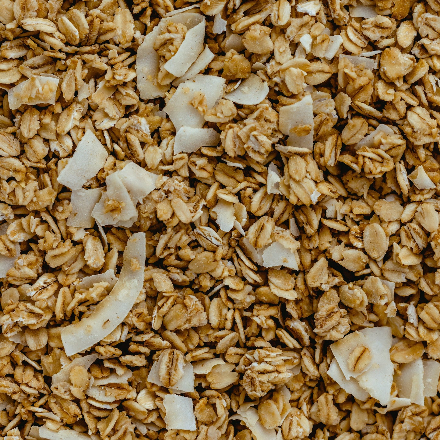 Small-Batch Sprouted Granola – Classic Coconut by Dr. Cowan's Garden