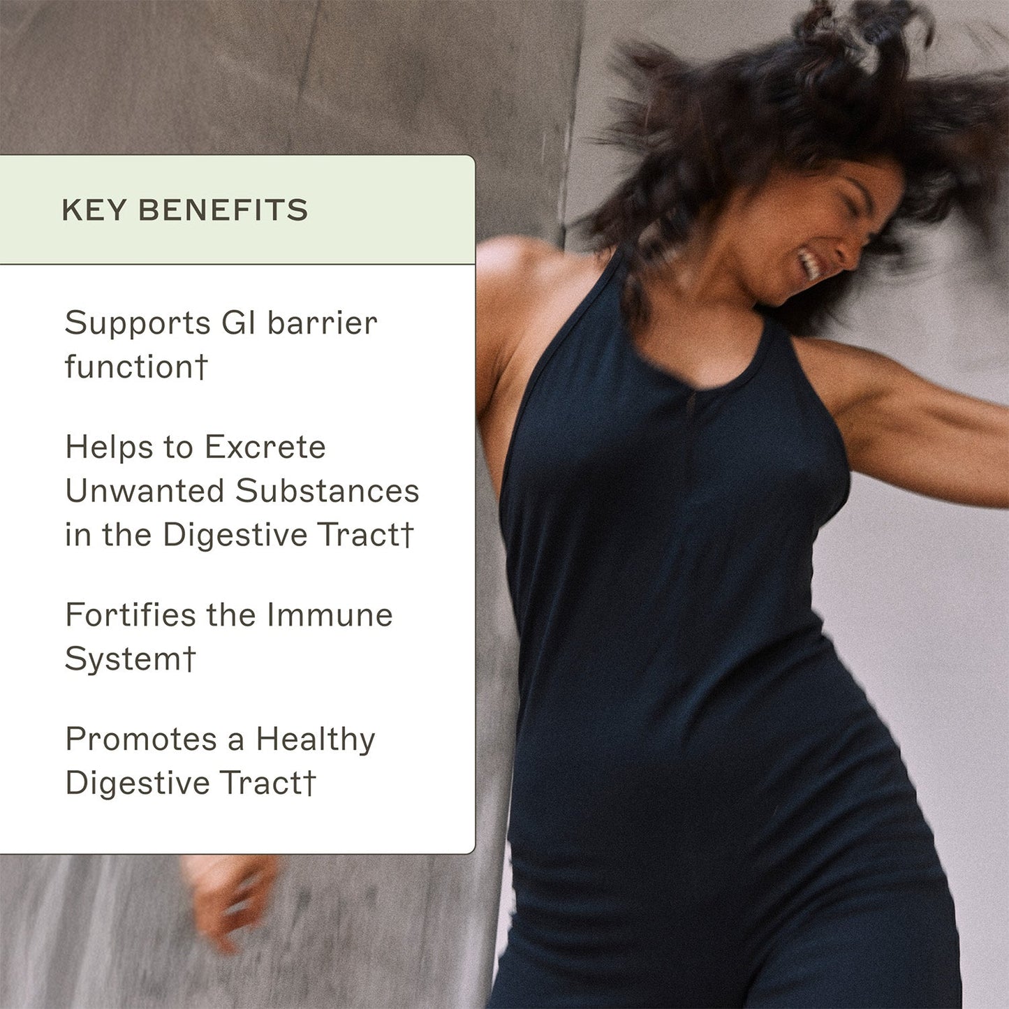 AMMD ImmuneIG Key Benefits infographic. Supports GI Barrier Function†. Helps to excrete unwanted substances in the digestive tract†. Fortifies the immune system†. Promotes a healthy digestive tract†. 