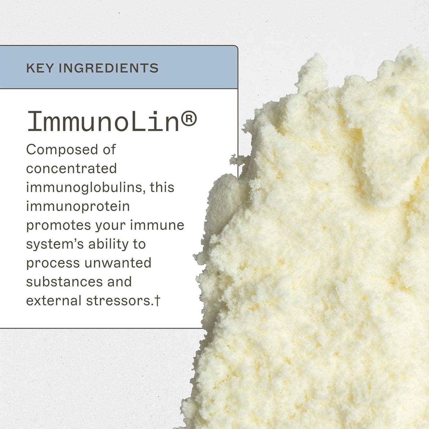 ImmuneIG by AMMD™ by Amy Myers MD®