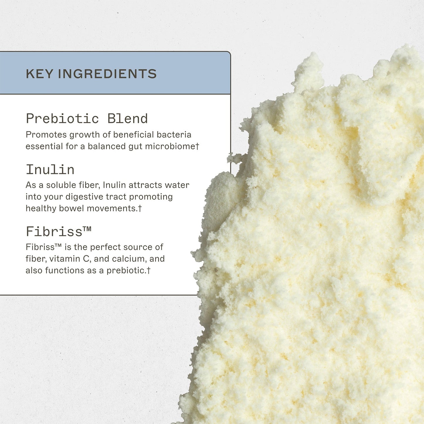 Prebiotic Fiber Complete™ key ingredients. Prebiotic Blend, promotes growth of beneficial bacteria essential for a balanced gut microbiome†. Inulin, as a soluble fiber, inulin attracts water into your digestive tract promoting healthy bowel movements†. Fibriss™, Fibriss™ is the perfect source of fiber, vitamin c, and calcium , and also functions as a prebiotic†. 