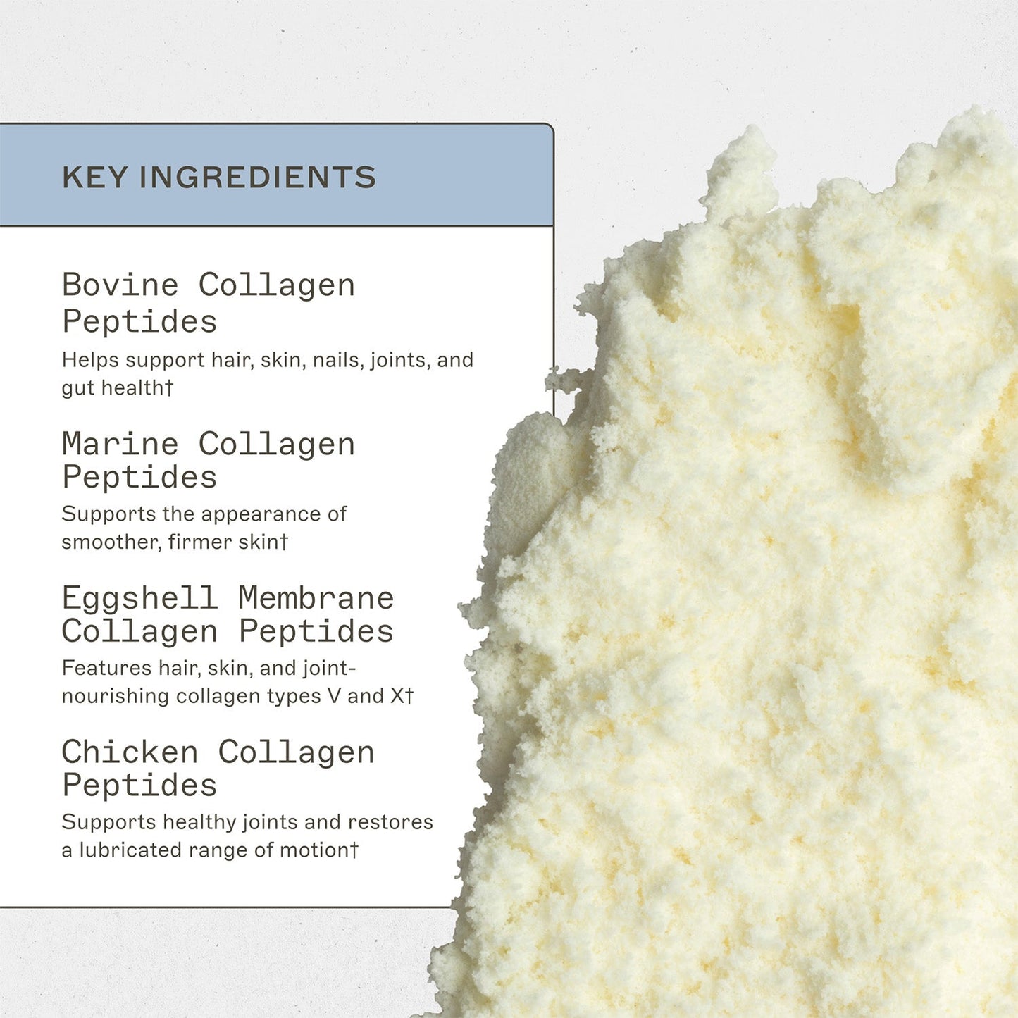 Spectrum 5 Collagen™ key ingredients. Bovine Collagen Peptides, helps support hair, skin, nails, joints, and gut health†. Marine collagen peptides, supports the appearence of smoother, firmer skin†. Eggshell membrane collagen peptides, features hair, skin, and joint-nourishing collagen types V and X†. Chicken collagen peptides, supports healthy joints and restores a lubricated range of motion†. 