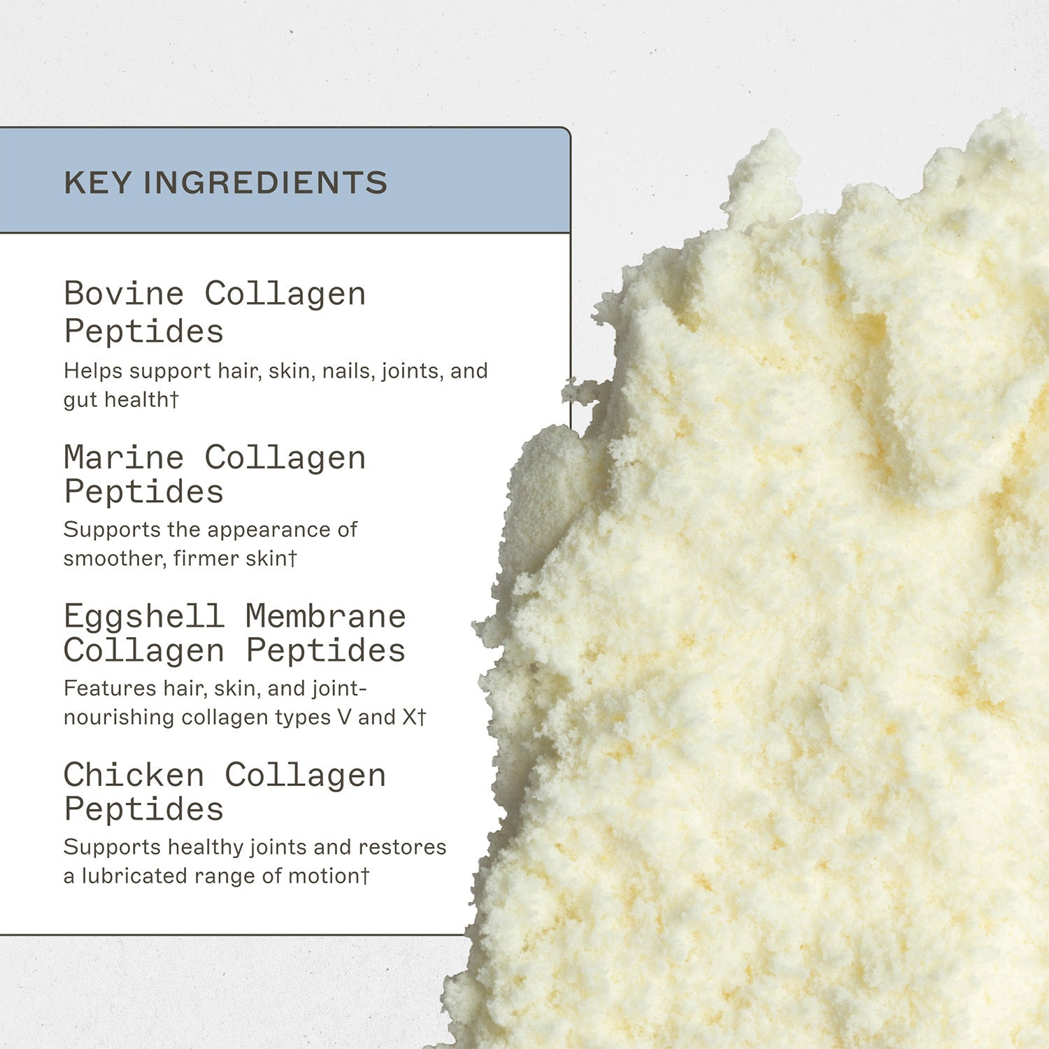 Spectrum 5 Collagen™ key ingredients. Bovine Collagen Peptides, helps support hair, skin, nails, joints, and gut health†. Marine collagen peptides, supports the appearence of smoother, firmer skin†. Eggshell membrane collagen peptides, features hair, skin, and joint-nourishing collagen types V and X†. Chicken collagen peptides, supports healthy joints and restores a lubricated range of motion†. 