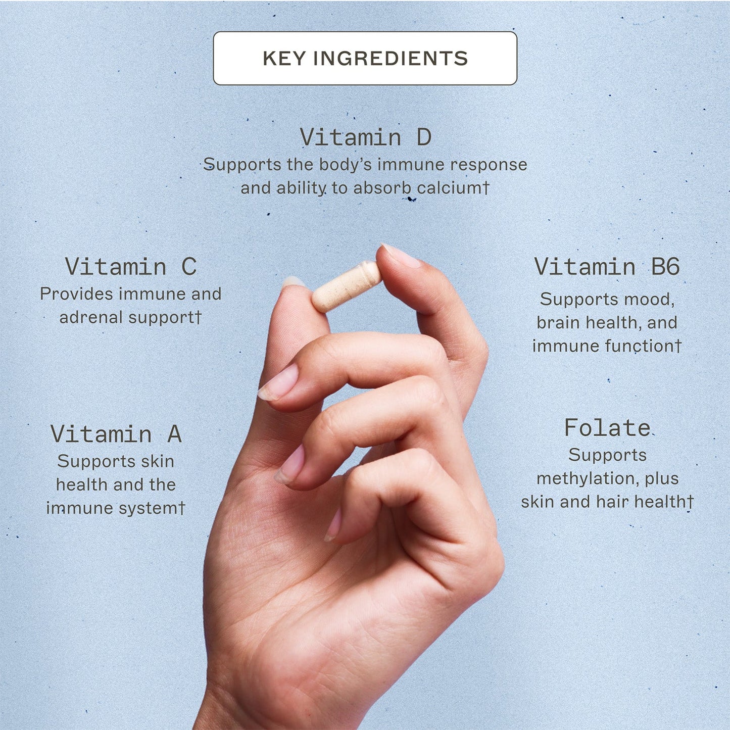 The Myers Way® Multivitamin key ingredients. Vitamin D, supports the body's immune response and ability to absorb calcium†. Vitamin C, provides immune and adrenal support†. Vitamin B6, supports mood, brain health, and immune function†. Vitamin A, supports skin health and the immune system†. Folate, supports methylation, plus, skin and hair health†.  